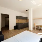 Rent 1 bedroom apartment in Brno