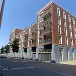 Rent 3 bedroom apartment of 100 m² in Utrecht