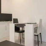 Rent 1 bedroom apartment in madrid