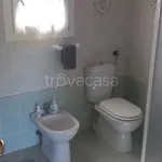 Rent 3 bedroom house of 80 m² in Velletri