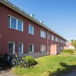 Rent 2 bedroom apartment of 65 m² in Luleå