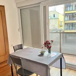 Rent 1 bedroom apartment of 60 m² in Zagreb