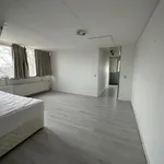 Huur 1 slaapkamer appartement van 95 m² in Krommenie