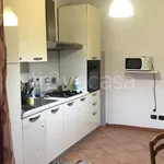 Rent 1 bedroom apartment of 20 m² in Torino