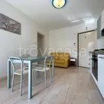 Rent 3 bedroom apartment of 62 m² in Riccione