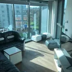 Rent 1 bedroom flat in Sheffield