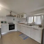 Rent 4 bedroom apartment of 85 m² in Massa