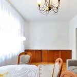 Rent 2 bedroom apartment of 47 m² in Kielce