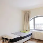 Kamer van 100 m² in brussels