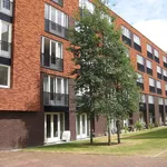 Rent 1 bedroom apartment of 70 m² in Haarlem