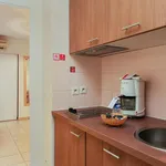 Rent 1 bedroom apartment of 35 m² in Toulouse