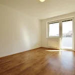 Rent 4 bedroom apartment of 118 m² in Brno