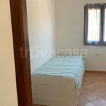 Rent 3 bedroom apartment of 70 m² in Olbia