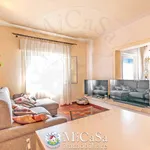 Rent 3 bedroom apartment of 100 m² in pisa