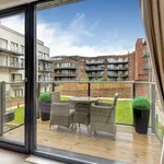 Rent 3 bedroom apartment in London