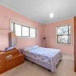 Rent 1 bedroom house in Elizabeth Downs