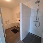 Huur 3 slaapkamer appartement van 120 m² in Strijp S