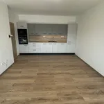 Pronajměte si 2 ložnic/e byt o rozloze 59 m² v Pelhřimov