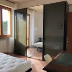 Rent 1 bedroom apartment in Siena