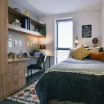 Rent 1 bedroom apartment in Leicester