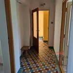 Rent 3 bedroom apartment in Opava