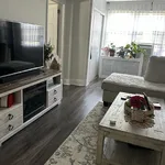 Rent 2 bedroom house in NY