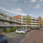 Huur 3 slaapkamer appartement van 75 m² in Amstelveen