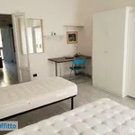 Rent 2 bedroom apartment of 60 m² in Milan