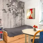 Rent 1 bedroom apartment of 32 m² in Dresden