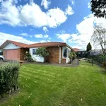 Rent 3 bedroom house in Te Puke