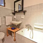 Rent 1 bedroom apartment of 50 m² in Florence