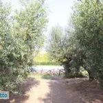 Appartamento arredato con terrazzo Montalto Di Castro