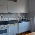 Rent 3 bedroom apartment of 110 m² in Monza