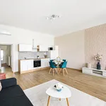 Rent 1 bedroom apartment of 46 m² in Budapest