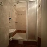 Rent 1 bedroom apartment in Prague