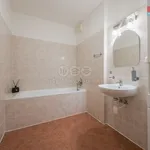 Rent 2 bedroom apartment of 65 m² in Praha