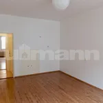 Rent 3 bedroom apartment of 73 m² in Prague