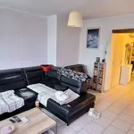 Rent 3 bedroom house of 739 m² in Binche Péronnes-lez-Binche