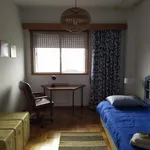 Rent 7 bedroom apartment in Porto