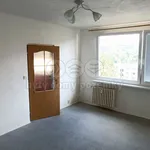 Rent 1 bedroom apartment of 36 m² in Jílové