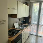 Rent 2 bedroom apartment of 80 m² in Bologna