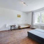 Rent 1 bedroom apartment of 30 m² in Vejprnice