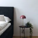 Rent 1 bedroom apartment of 45 m² in Prague