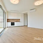 Rent 2 bedroom apartment in Brno