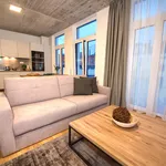 Rent 2 bedroom apartment of 90 m² in Prague