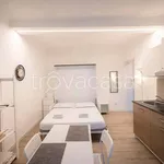 Rent 1 bedroom apartment of 27 m² in Milano