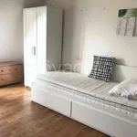 Rent 1 bedroom apartment of 32 m² in Milano