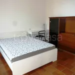 Rent 4 bedroom apartment of 110 m² in Milano