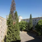 Rent 3 bedroom apartment of 51 m² in Lisbon