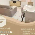 Rent 3 bedroom apartment of 55 m² in La Spezia